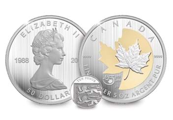 Canada 2013 Silver Proof 5oz Maple Leaf Coin (2)