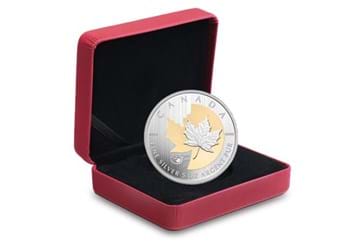 Canada 2013 Silver Proof 5oz Maple Leaf Coin (3)
