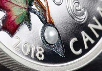 Canada 2018 Queens Maple Brooch 1Oz Silver Proof Coin Pearl Close Up