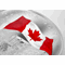 LS-2019-$30-Canada-2oz-Silver-Proof-Rippling-Flag-Coin-Detail.png