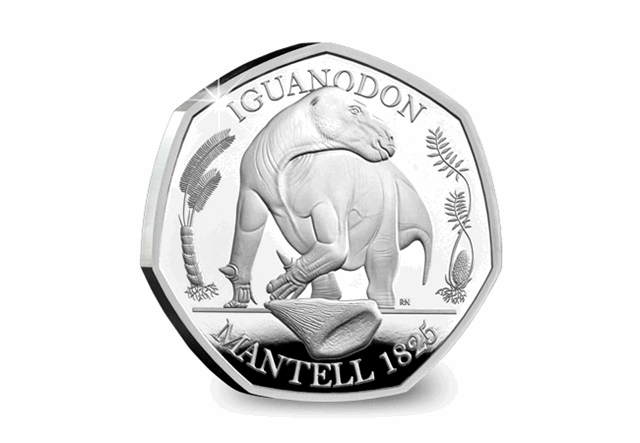 Dinosaur-50p-extra-product-images-4.png