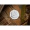 The 2020 Official Peter Pan 50p Coin on wooden surface