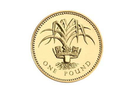 Issued in 1985 and 1990 as part of the floral emblems £1 coin series, this £1 features a leek on the reverse to represent Wales.