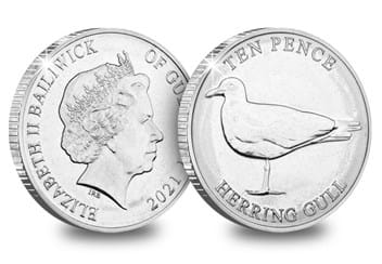 The Coastal Wildlife Uncirculated 10p Set Herring Gull Obverse and Reverse
