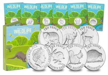 The Woodland Mammals Uncirculated 10p Set Obverse, Reverses and album in forefront with the Reverses in packaging behind