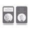 Prince Philip Memorial Silver Proof Coin and Stamp Collection capsule