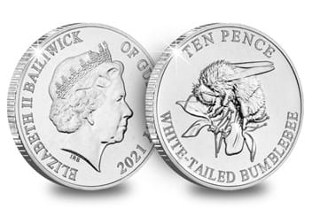 The White-Tailed Bumblebee Obverse and Reverse