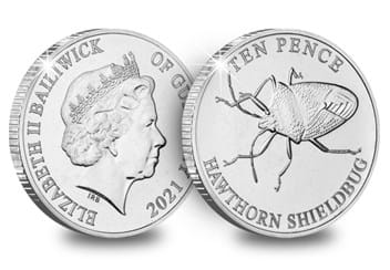 The Hawthorn Shieldbug Obverse and Reverse