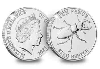 The Stag Beetle Obverse and Reverse