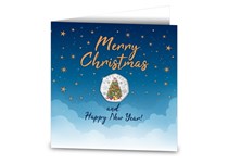 Featuring the 2021 Guernsey 'Christmas Tree' BU 50p coin in colour, this limited edition Christmas Card is blank inside to write your personal message.