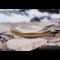 Canada 2021 Klondike Gold Rush Silver Proof Coin from the side on rocks