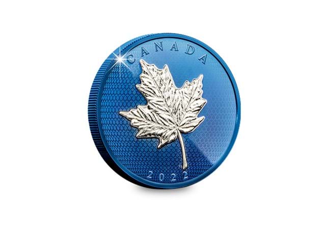 Blue Rhodium 5oz Maple Leaf Coin Reverse