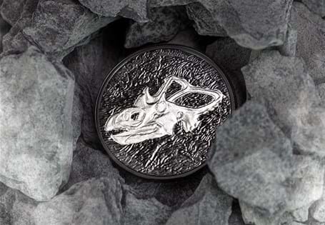 This Silver Proof coin has been issued by The Royal Canadian Mint and features a design of the Mercuriceratops specimen. The coin has been plated in black rhodium to a Matte Proof finish.