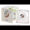 Christopher Robin Silver Proof 50P Coin In Packaging