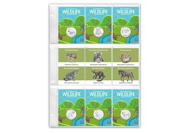 Woodland Mammals 10p Folder Page