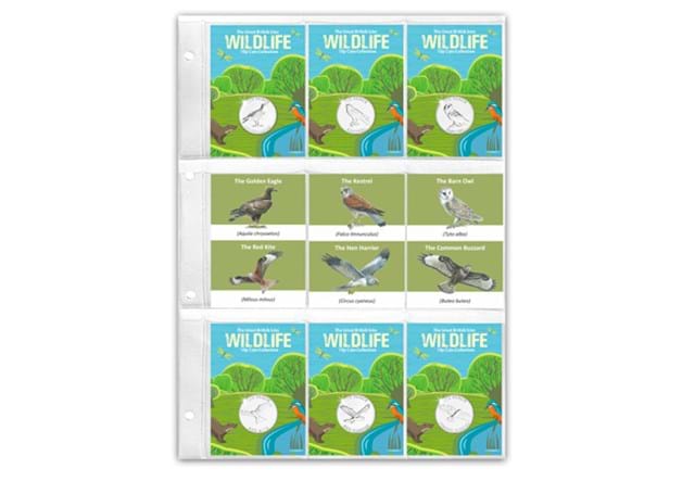 PB 2022 Guernsey Birds Of Prey 10Ps Pocket Page