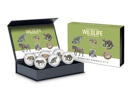 This stunning 2022 Guernsey 10p Woodland Mammals Pair features illustrations of the much loved Dormouse and Pony. The coins are limited to just 19,995, struck to a frosted BU quality.