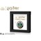 Harry Potter House Crests Medal Images Slytherin Frame Front