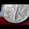 1986 US Silver Eagle 1Oz Reverse Close Up 3