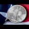 1986 US Silver Eagle 1Oz Reverse On Flag