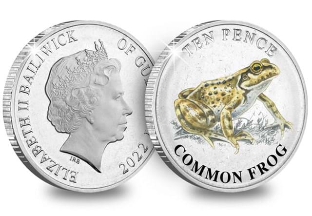 Guernsey Wetland Animals 10P Coins Common Frog