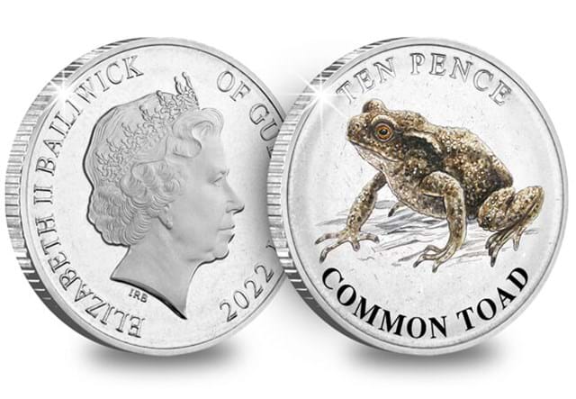 Guernsey Wetland Animals 10P Coins Common Toad