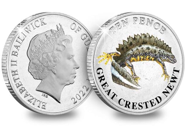 Guernsey Wetland Animals 10P Coins Great Crested Newt