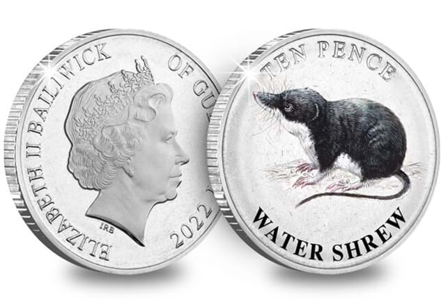 Guernsey Wetland Animals 10P Coins Water Shrew