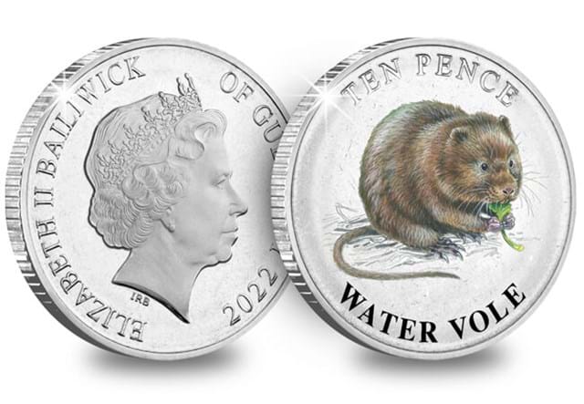 Guernsey Wetland Animals 10P Coins Water Vole