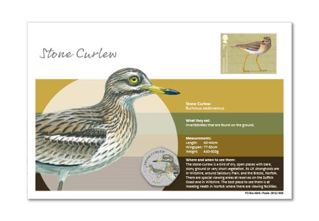 Migratory Birds Stamp And Commemorative Covers Collection Stone Curlew