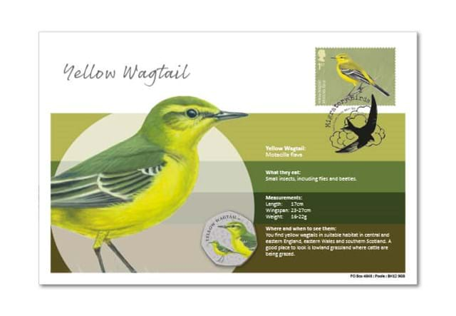 Migratory Birds Stamp And Commemorative Covers Collection Yellow Wagtail