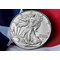 2023 US Silver Eagle Coin Reverse Lifestyle