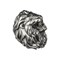 Lion Head 3Oz Silver Coin Reverse Angle