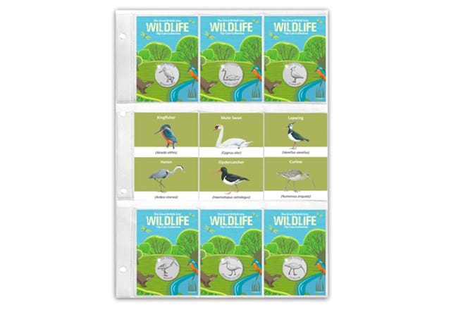 Wetland Birds 10Ps Pocket Page