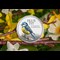 British Garden Birds Silver Set Lifestyle 03