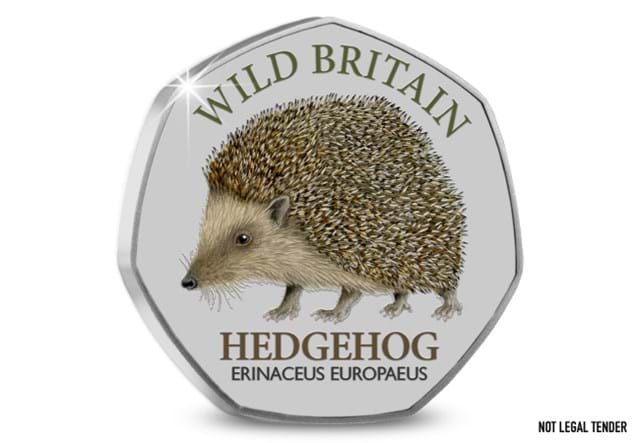 Wild Britain Collection Hedgehog Starter Reverse