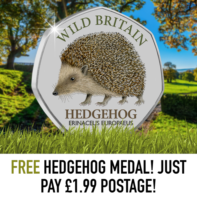 FREE Hedgehog