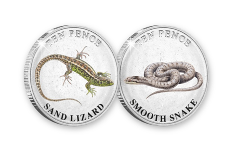 This 2023 Guernsey Reptiles Colour 10p Pair features the Sand Lizard and Smooth Snake. Limited to just 19,995 and struck to a frosted BU quality. Comes in presentation case with certificate.