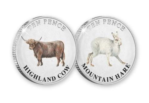 819U Highland Cow And Mountain Hare