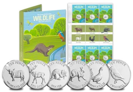 This set celebrates some of the British Isles' most loved Highlands Wildlife; the Beaver, Capercaillie, Crossbill, Highland Cow, Mountain Hare and Red Deer.