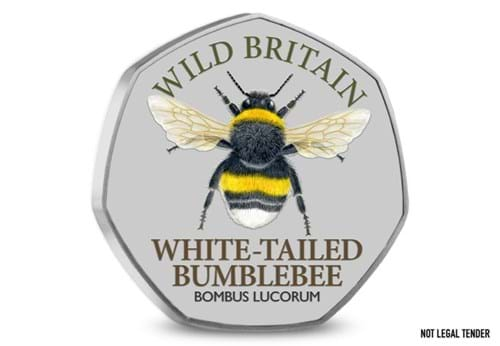 DN 2023 Wild Britian Collection White Tailed Bumblebee Starter Product Images 1