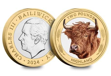 Struck to a Brilliant Uncirculated finish with a stunning colour finish, this British Isles £2 Coin features The Highland Cow. Arrives protectively housed within a collector card.