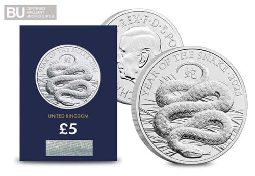 DN Change Checker 2024 Lunar Year Of The Snake BU 50P Launch Images 11