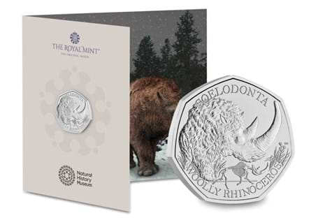 The Brilliant Uncirculated 50p coin for the Woolly Rhino from The Royal Mint.