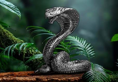 This unique 3D  coin has been struck into the shape of a snake. It has been struck from 3oz of Pure Silver and features a black proof-like finish. Edition Limit: 888 