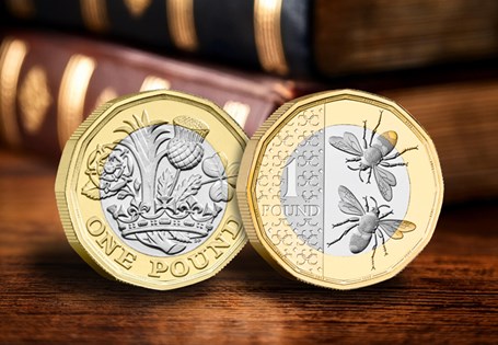 This frame contains the UK 2023 King Charles Bee £1 coin alongside the UK 2017 £1 coin - the new designs in Britain.