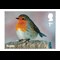 Christmas Robins Ultimate Pncs Images AT 4
