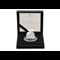 Silver Proof Box