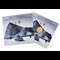 Pack Front And Sleeve 1300X900