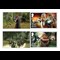 LOTR Cover Images AT 2